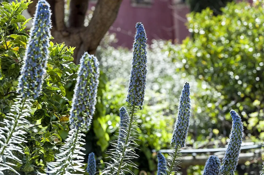 Villa Schuler Taormina Center Garden Suite In Self-Catering